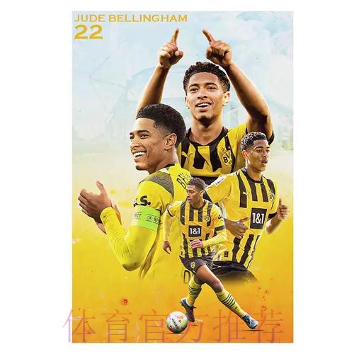 最新世界杯葡萄牙贝林厄姆数据统计完整指南